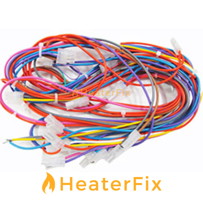 Raypak Gas Heater Wiring Loom