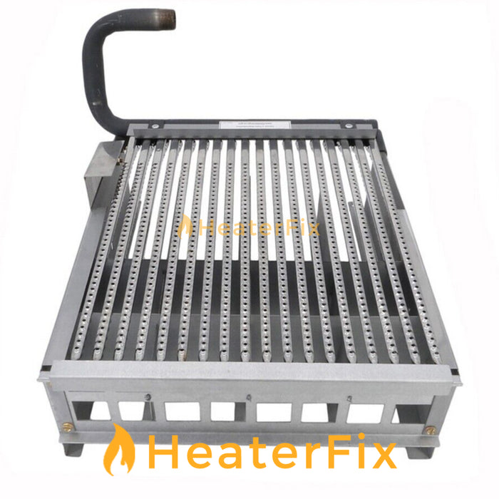 Raypak Gas Pool Heater Burner Assembly
