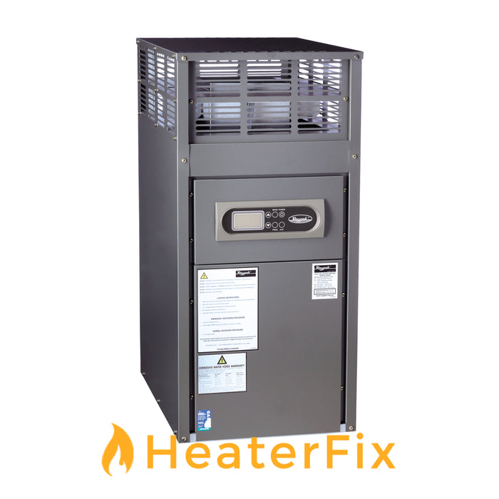 Raypak Spartan Gas Pool Heater
