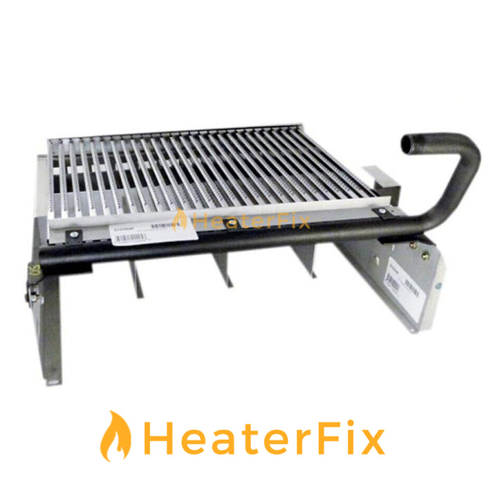 Raypak Gas Pool Heater Burner Assembly